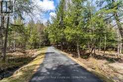 13-1630 MUSKOKA DISTRICT ROAD 38 ROAD | Bala Ontario | Slide Image Forty-five