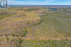 LOT 21 & LOT 22 CON 3 | Utterson Ontario | Slide Image Eleven
