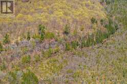 LOT 21 & LOT 22 CON 3 | Utterson Ontario | Slide Image Twelve