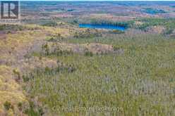 LOT 21 & LOT 22 CON 3 | Utterson Ontario | Slide Image Thirteen