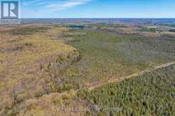 LOT 21 & LOT 22 CON 3 | Utterson Ontario | Slide Image Fifteen