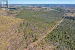 LOT 21 & LOT 22 CON 3 | Utterson Ontario | Slide Image Seventeen