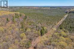 LOT 21 & LOT 22 CON 3 | Utterson Ontario | Slide Image Eighteen