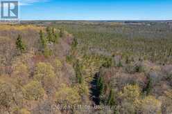 LOT 21 & LOT 22 CON 3 | Utterson Ontario | Slide Image Twenty