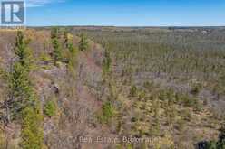 LOT 21 & LOT 22 CON 3 | Utterson Ontario | Slide Image Twenty-one