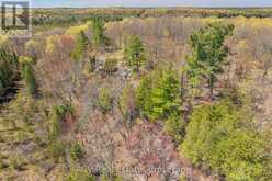 LOT 21 & LOT 22 CON 3 | Utterson Ontario | Slide Image Twenty-two