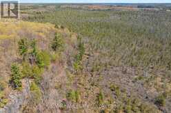 LOT 21 & LOT 22 CON 3 | Utterson Ontario | Slide Image Twenty-three