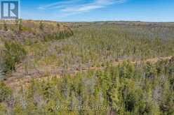 LOT 21 & LOT 22 CON 3 | Utterson Ontario | Slide Image Twenty-five