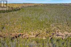 LOT 21 & LOT 22 CON 3 | Utterson Ontario | Slide Image Twenty-six
