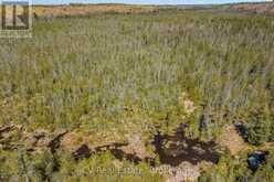 LOT 21 & LOT 22 CON 3 | Utterson Ontario | Slide Image Thirty