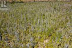 LOT 21 & LOT 22 CON 3 | Utterson Ontario | Slide Image Thirty-one