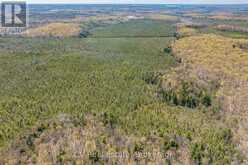 LOT 21 & LOT 22 CON 3 | Utterson Ontario | Slide Image Thirty-five