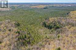 LOT 21 & LOT 22 CON 3 | Utterson Ontario | Slide Image Thirty-six