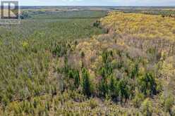 LOT 21 & LOT 22 CON 3 | Utterson Ontario | Slide Image Thirty-seven