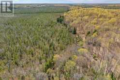 LOT 21 & LOT 22 CON 3 | Utterson Ontario | Slide Image Thirty-eight
