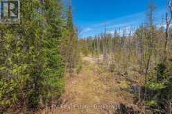 LOT 21 & LOT 22 CON 3 | Utterson Ontario | Slide Image Thirty-nine