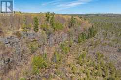 LOT 21 & LOT 22 CON 3 | Utterson Ontario | Slide Image Three