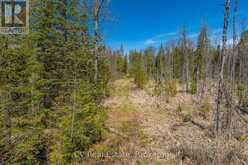 LOT 21 & LOT 22 CON 3 | Utterson Ontario | Slide Image Forty