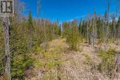 LOT 21 & LOT 22 CON 3 | Utterson Ontario | Slide Image Forty-one