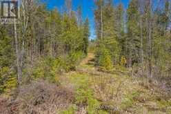 LOT 21 & LOT 22 CON 3 | Utterson Ontario | Slide Image Forty-two