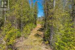 LOT 21 & LOT 22 CON 3 | Utterson Ontario | Slide Image Forty-three