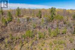 LOT 21 & LOT 22 CON 3 | Utterson Ontario | Slide Image Four