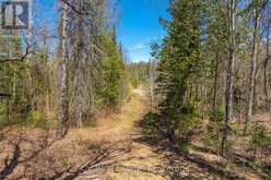 LOT 21 & LOT 22 CON 3 | Utterson Ontario | Slide Image Five