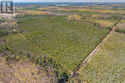LOT 21 & LOT 22 CON 3 | Utterson Ontario | Slide Image Six