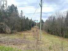 LOT 21 & LOT 22 CON 3 | Utterson Ontario | Slide Image Seven