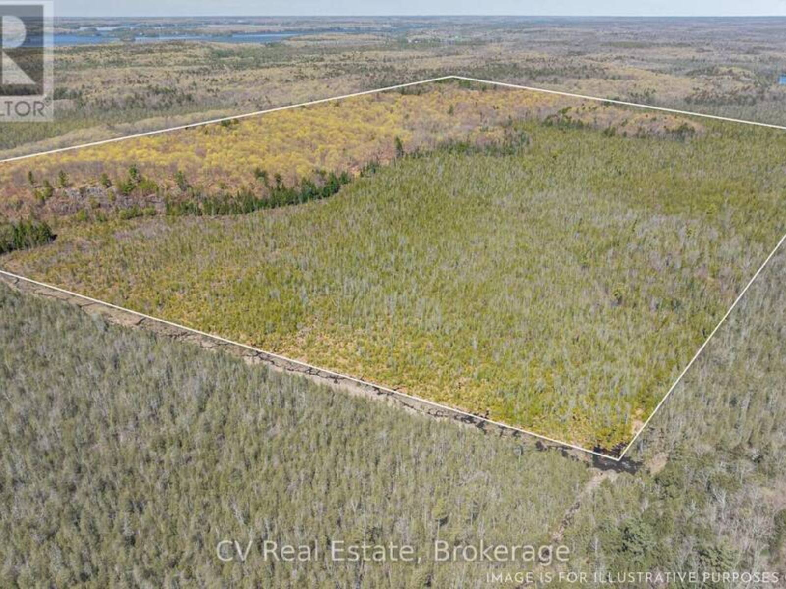 LOT 21 & LOT 22 CON 3, Utterson, Ontario P0B 1M0