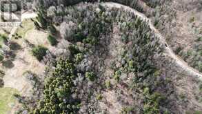 1392 ECHO RIDGE ROAD | Kearney Ontario | Slide Image Nine