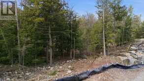 2 ZHAAWASHKWAA MIIKAN ROAD | Seguin Ontario | Slide Image Eleven