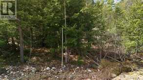2 ZHAAWASHKWAA MIIKAN ROAD | Seguin Ontario | Slide Image Twelve