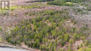 2 ZHAAWASHKWAA MIIKAN ROAD | Seguin Ontario | Slide Image Eighteen
