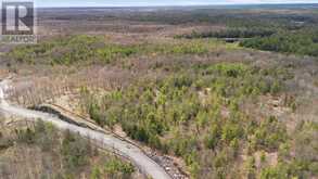 2 ZHAAWASHKWAA MIIKAN ROAD | Seguin Ontario | Slide Image Three