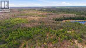 2 ZHAAWASHKWAA MIIKAN ROAD | Seguin Ontario | Slide Image Four