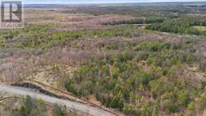 2 ZHAAWASHKWAA MIIKAN ROAD | Seguin Ontario | Slide Image Six