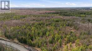 2 ZHAAWASHKWAA MIIKAN ROAD | Seguin Ontario | Slide Image Nine