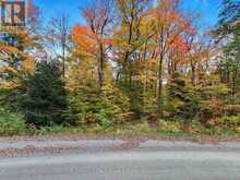 0 NORTH MENOMINEE LAKE ROAD | Baysville Ontario | Slide Image Twelve