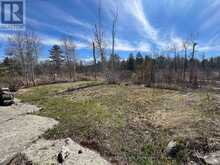 2333 KEY RIVER | Parry Sound Ontario | Slide Image Thirty-seven