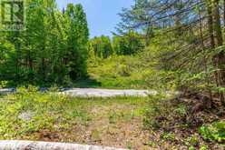 0 BRADY LAKE ROAD | Minden Hills Ontario | Slide Image Twelve