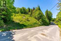0 BRADY LAKE ROAD | Minden Hills Ontario | Slide Image Thirteen