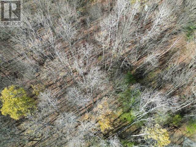 7 RICE LANE Huntsville Ontario, P1H 1V4 - Vacant Land For Sale