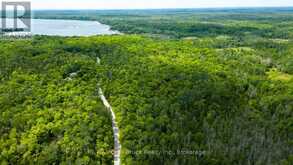 PART 1 TAMMY'S COVE ROAD | Miller Lake Ontario | Slide Image Seventeen