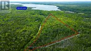 PART 1 TAMMY'S COVE ROAD | Miller Lake Ontario | Slide Image One