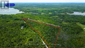 PART 1 TAMMY'S COVE ROAD | Miller Lake Ontario | Slide Image Two