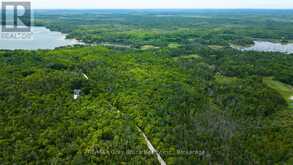 PART 1 TAMMY'S COVE ROAD | Miller Lake Ontario | Slide Image Three