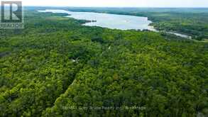 PART 1 TAMMY'S COVE ROAD | Miller Lake Ontario | Slide Image Four