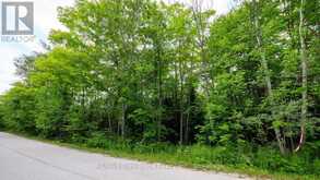 PART 1 TAMMY'S COVE ROAD | Miller Lake Ontario | Slide Image Six