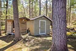 9 SEVERN RIVER 403 | Muskoka Lakes Ontario | Slide Image Twenty-one
